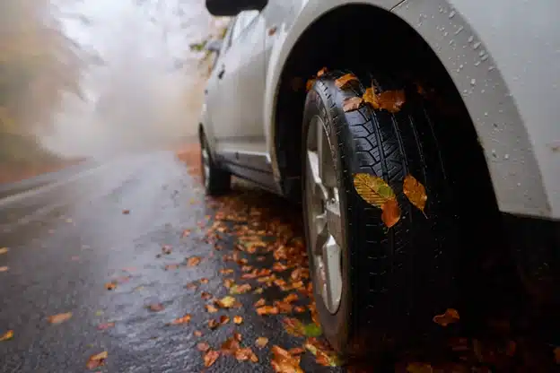 How to avoid common fall driving hazards in Durango, CO with Firestone of Durango. Image of wet fall leaves on a tire of a car driving on a wet fall road.