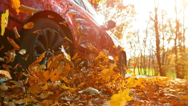 Preparing your vehicle for fall with Firestone of Durango in Durango, CO. Image of car driving through leaves on a fall back road.