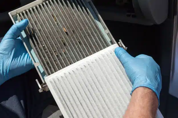 The role of cabin air filters in fall allergies with Firestone of Durango in Durango, CO. Image of mechanic wearing blue latex gloves while holding a dirty and clean cabin air filter side by side.