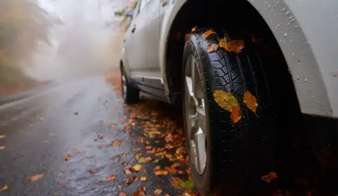 How to avoid common fall driving hazards in Durango, CO with Firestone of Durango. Image of wet fall leaves on a tire of a car driving on a wet fall road.