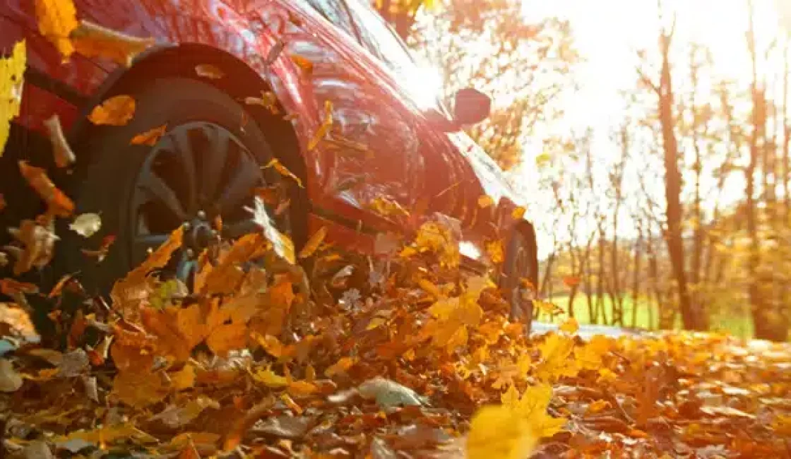 Preparing your vehicle for fall with Firestone of Durango in Durango, CO. Image of car driving through leaves on a fall back road.